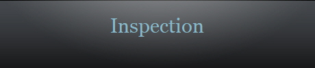 Inspection